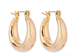 Zara Hoops